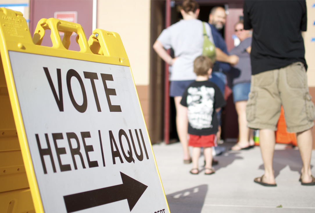 Observe New Mexico Elections